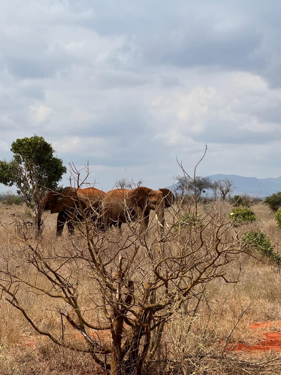 07997b0d-05c2-4881-8e7c-bc6a4d36b773