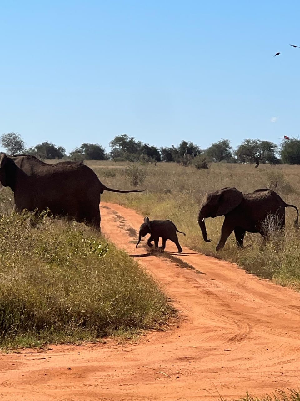 24f155b4-d28e-4f69-98dc-869c46fe5922