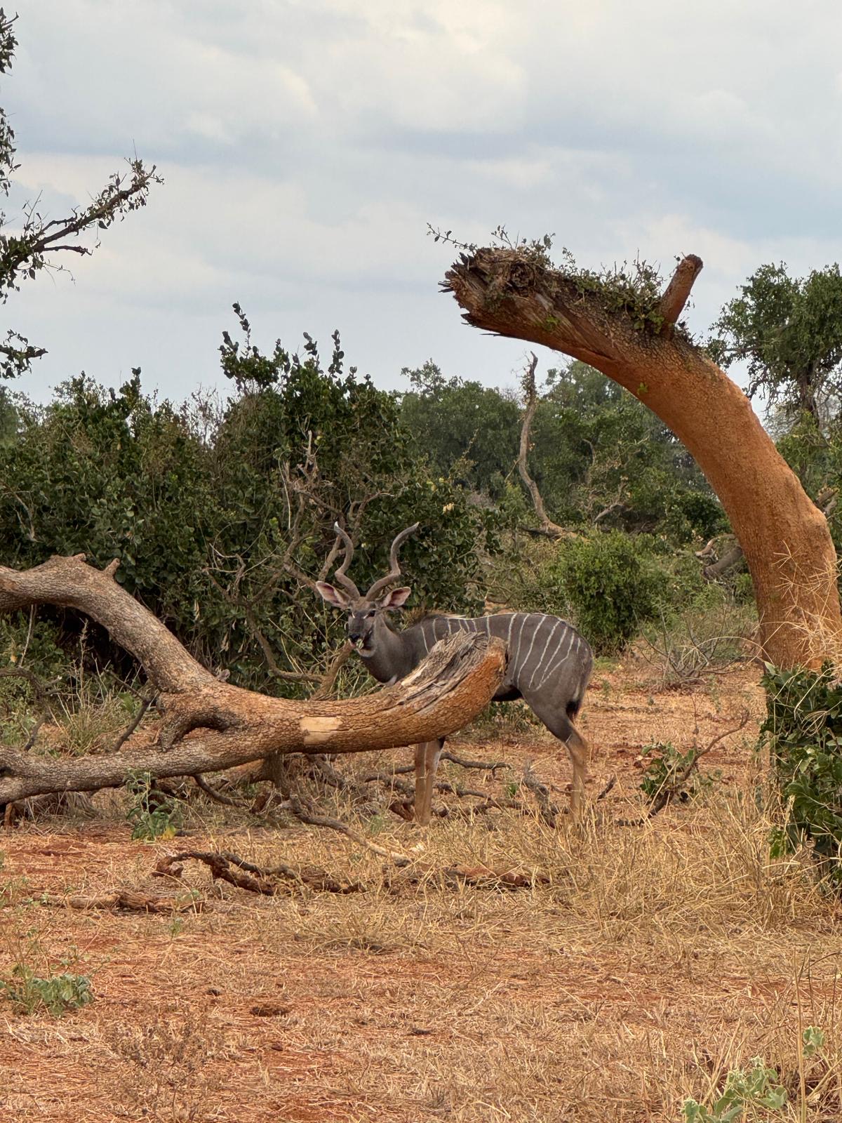 36eb1fca-85d3-4bb0-a3a4-d6b84d652c94