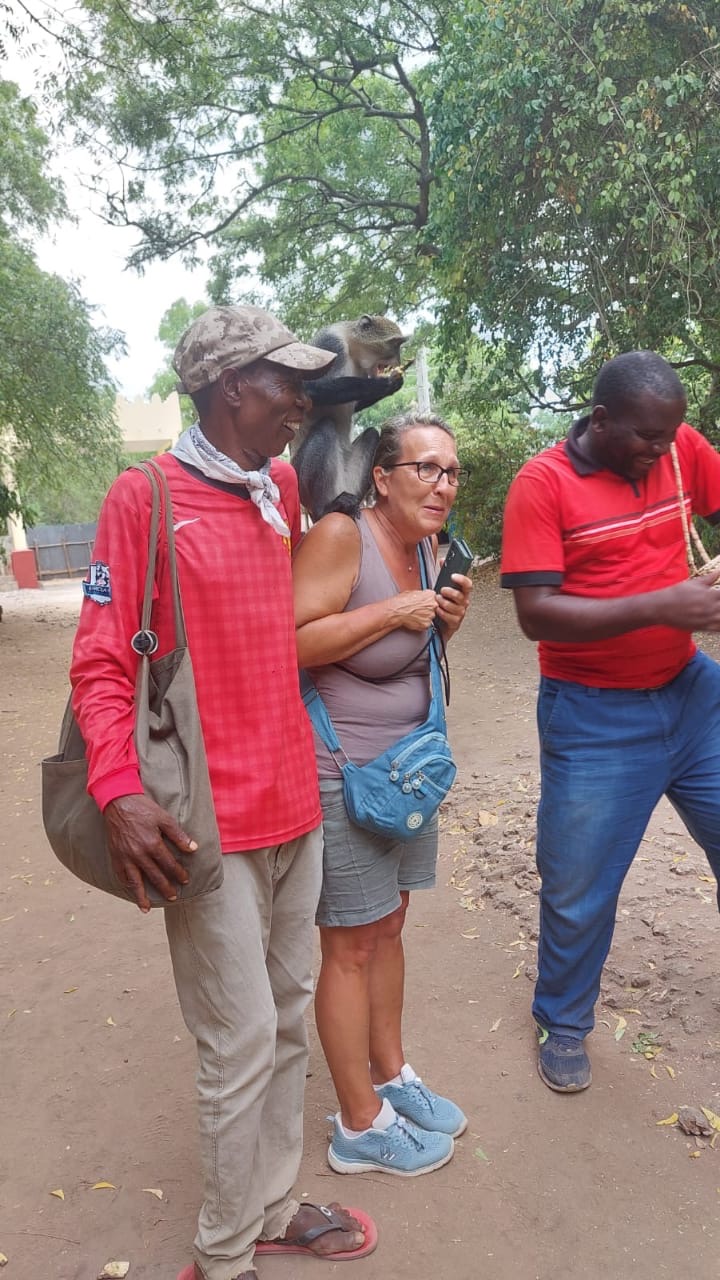 38128b7e-80d3-4645-8d56-ee8abef79507