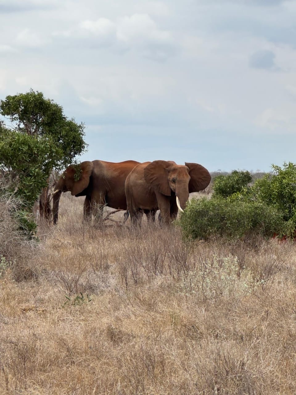 5a6e8671-16c4-40f0-84da-ae4bec295221