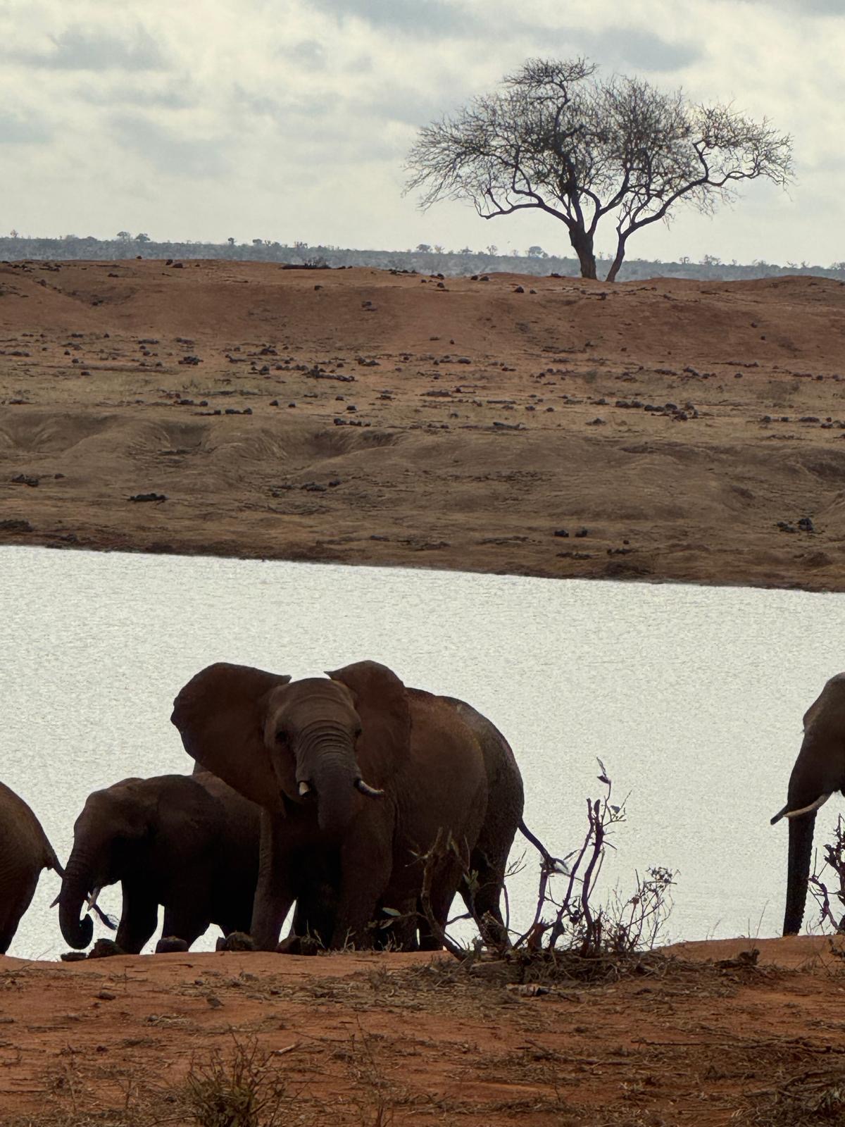 6b6d549f-3f3c-4b6a-a233-6c58137fb099