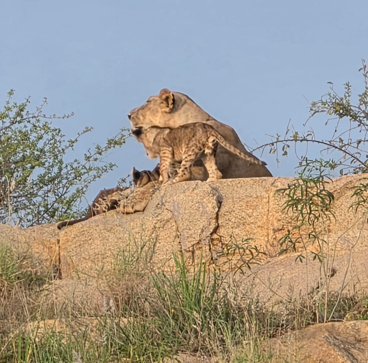 744cffc8-f1bd-46bf-87a3-a0ad3d7269d7