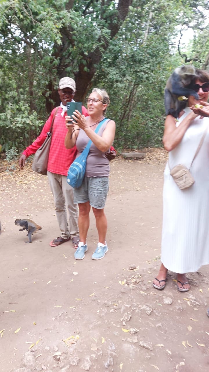 7dff283c-4db5-4b3c-aac1-cbe8d90f20de