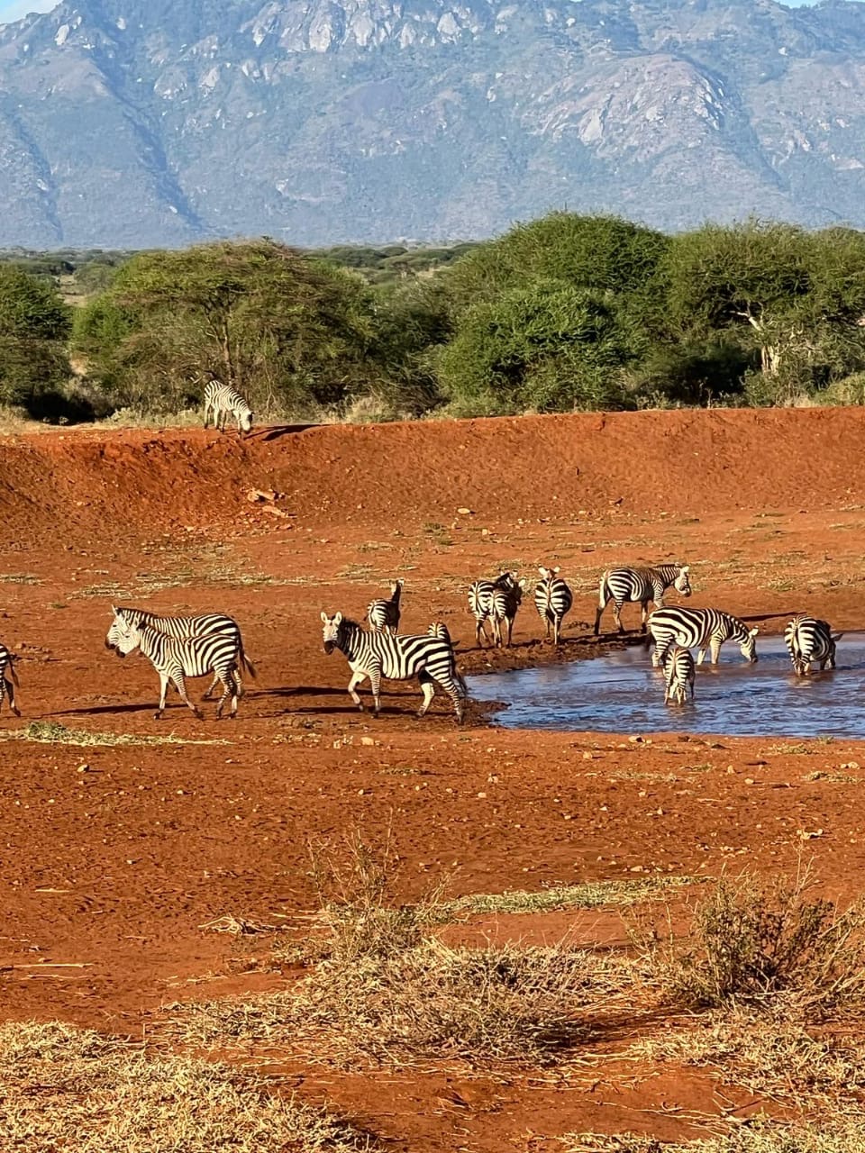 8f2d0437-331c-426e-afb3-960433d1d5fc