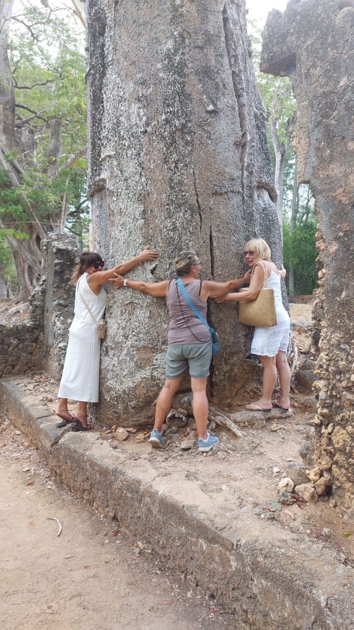 9ea822e2-2252-4276-981f-1765ffd55028