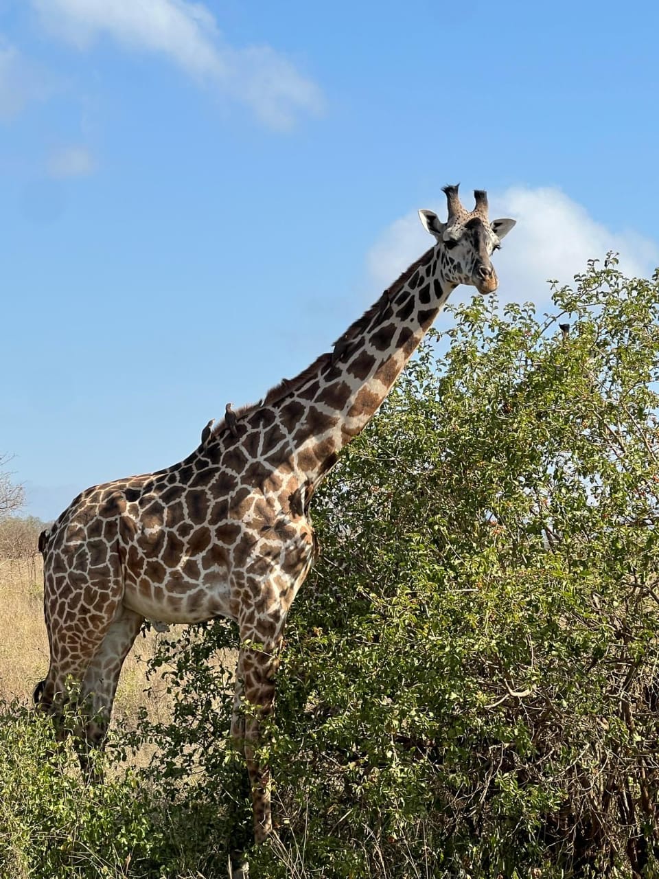 b5e88391-503e-494f-80b3-e8ea0b416940