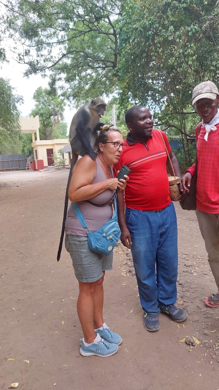 eb54ab47-a641-4851-97ad-f0dfebe37fdc